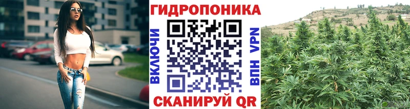 Где купить наркотики Киров Конопля  Cocaine  Псилоцибиновые грибы  Мефедрон  Alpha PVP 