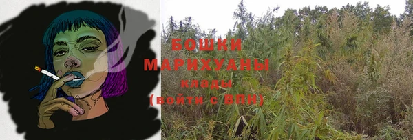 прущий лед Верея