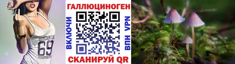 блэк спрут зеркало  Киров  Псилоцибиновые грибы мицелий 